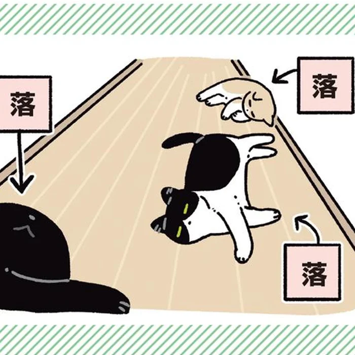今年の夏はにぎやか！廊下で並んでくつろぐ黒猫ろんと新入り猫たち