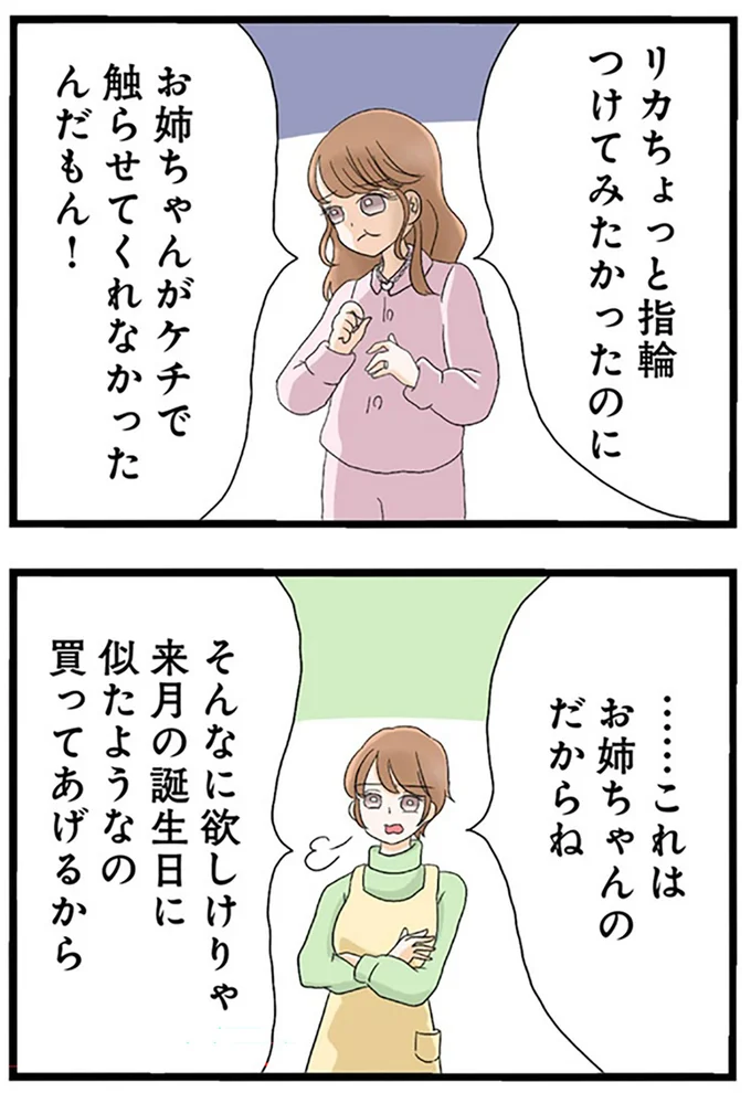 これはお姉ちゃんのだからね