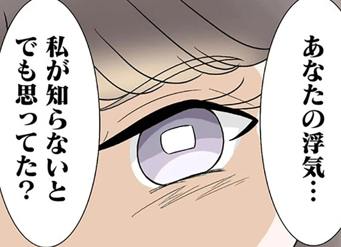 「あなたの浮気、知らないとでも思ってた？」突然現れた妻に不倫カップルは真っ青！／なんでも横取りする妹が嫌い（12）