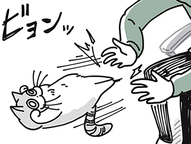何かを求められている？ ネコが来て数ヶ月、未だ分かってあげられないこと