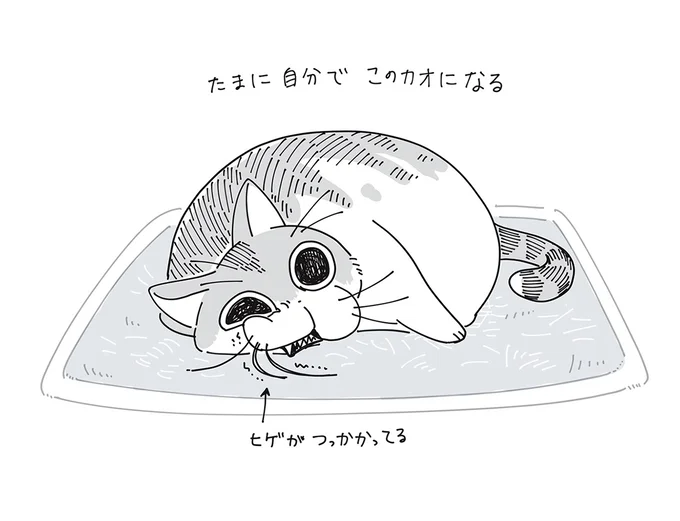 『夜は猫といっしょ』より