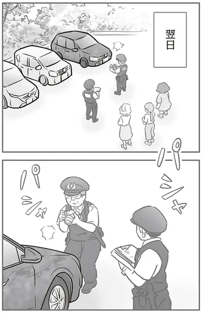 『犯人は私だけが知っている～母たちは静観する～』より