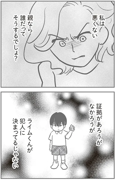 『犯人は私だけが知っている～母たちは静観する～』より