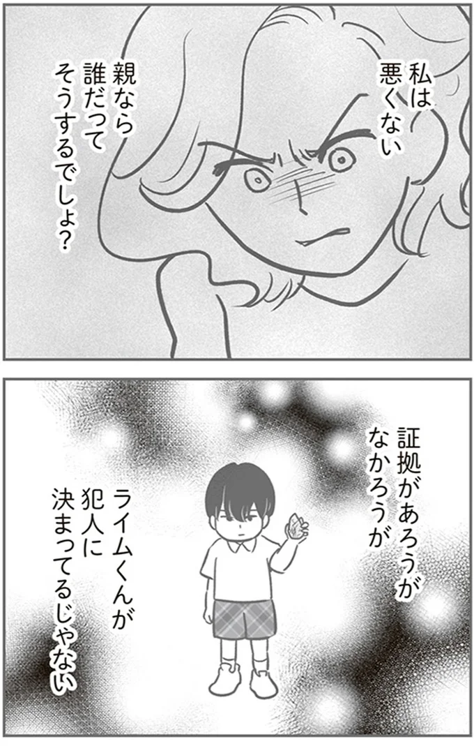 『犯人は私だけが知っている～母たちは静観する～』より