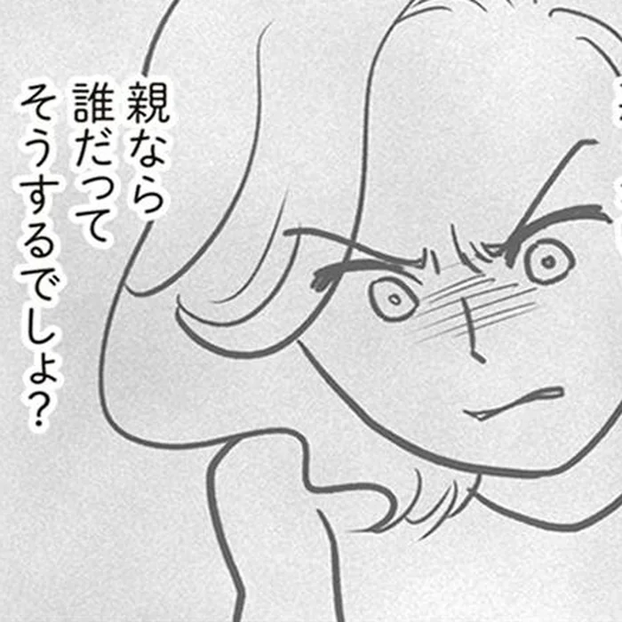 「親なら誰だってそうするでしょ？」暴走していくママ友のネガティブな感情／犯人は私だけが知っている(25)