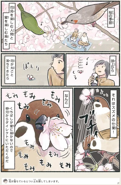 『意外と知らない鳥の生活』より