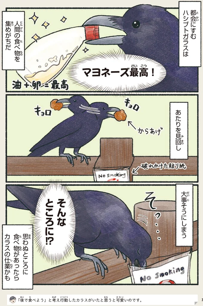 『意外と知らない鳥の生活』より