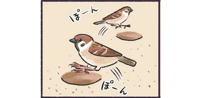 ぽーん　ぽーん