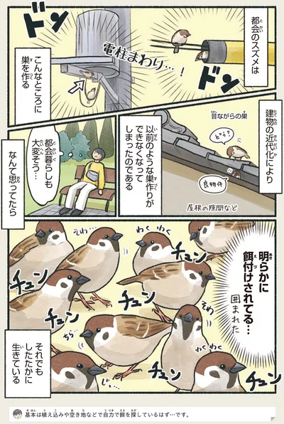 明らかに餌付けされてる…