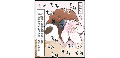 もみもみもみもみもみもみ