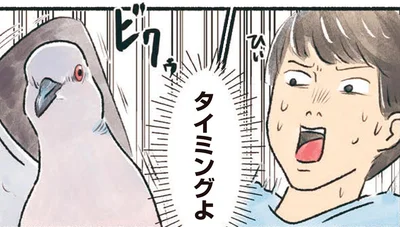 タイミングよ