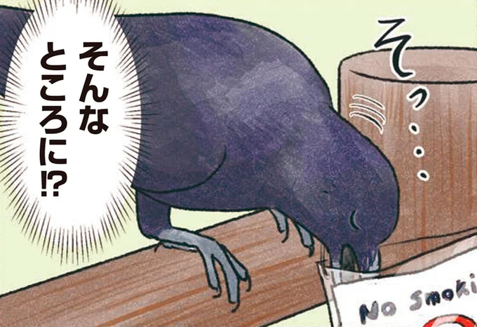 そんなところに!?