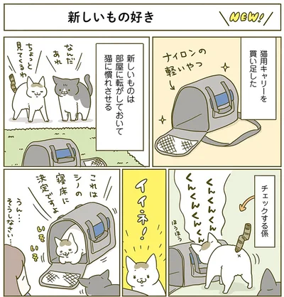 イイネ！