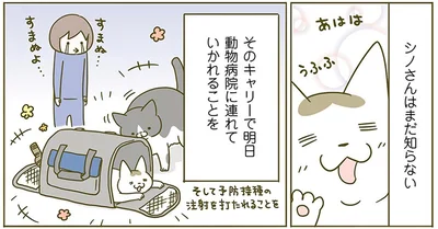 シノさんはまだ知らない