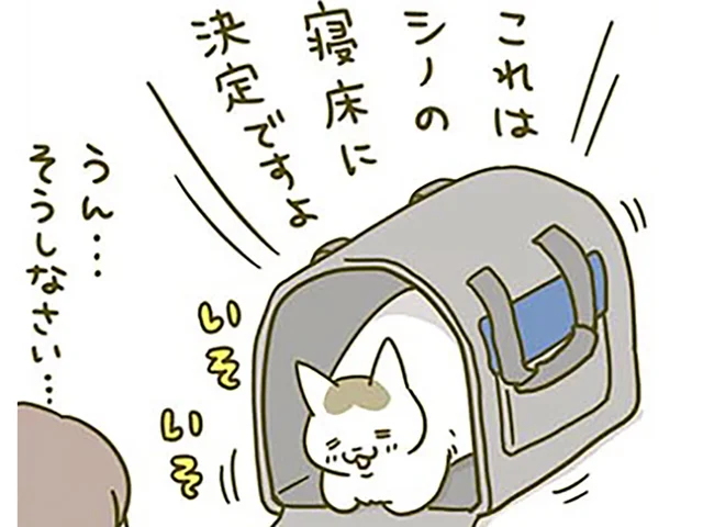 「私の寝床に決定ですよ」新しいキャリーを気に入った猫。飼い主は若干心が痛いです