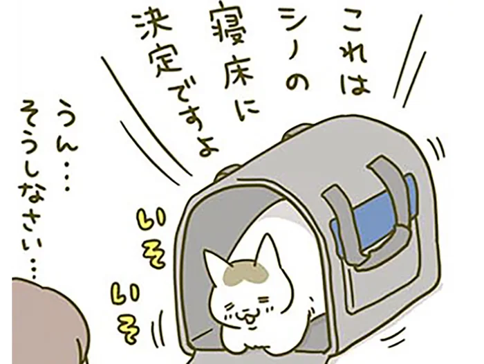 「私の寝床に決定ですよ」新しいキャリーを気に入った猫。飼い主は若干心が痛いです