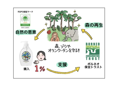 ヤシノミ洗剤の購入がボルネオの森や動物を守ることにつながる！