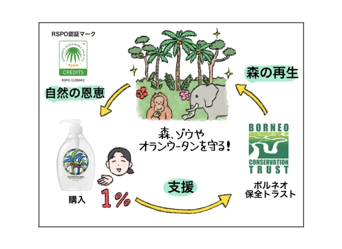 ヤシノミ洗剤の購入がボルネオの森や動物を守ることにつながる!