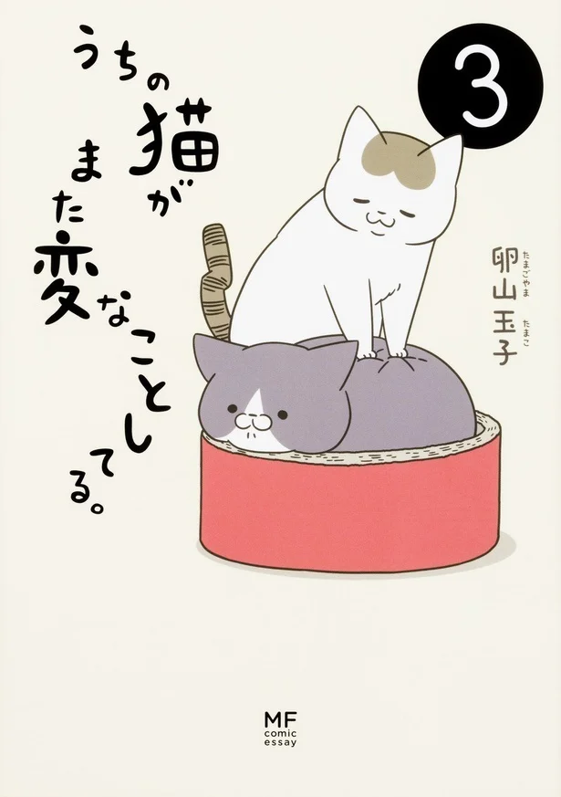 猫に癒され、猫に翻弄される…そんな日々を描いたコミックエッセイ『うちの猫がまた変なことしてる。3』