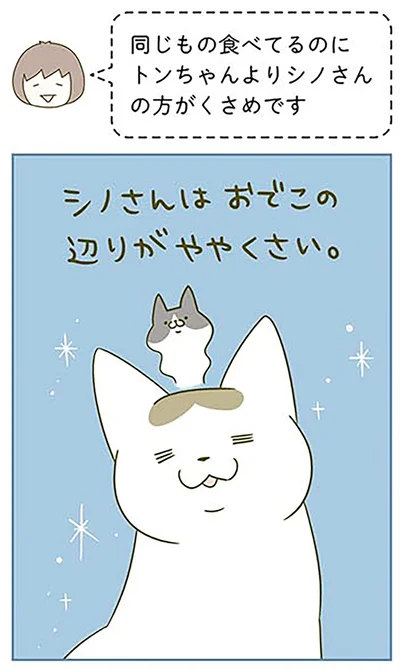 おでこの辺りがややくさい