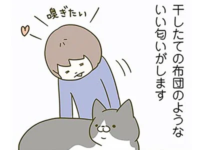 日光浴をしている猫の匂いを求めて