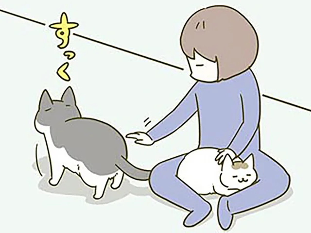 2匹同時に撫でたいのに！ 少し遠くまで行ってしまった猫の背、どうする？