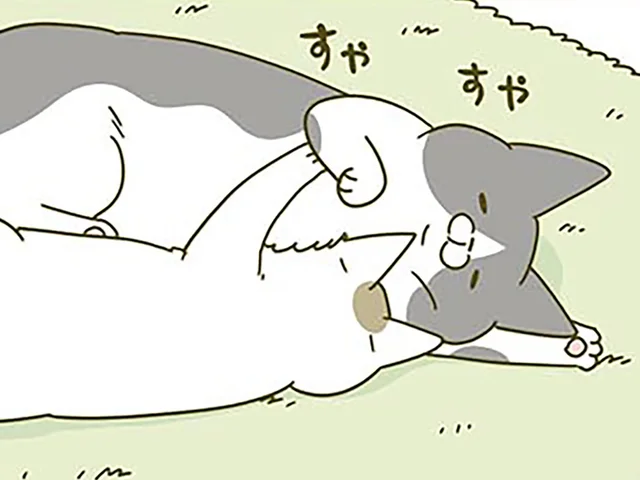先輩猫の胸にモフゥと埋もれて眠る後輩猫。息ができるか気になっていたら