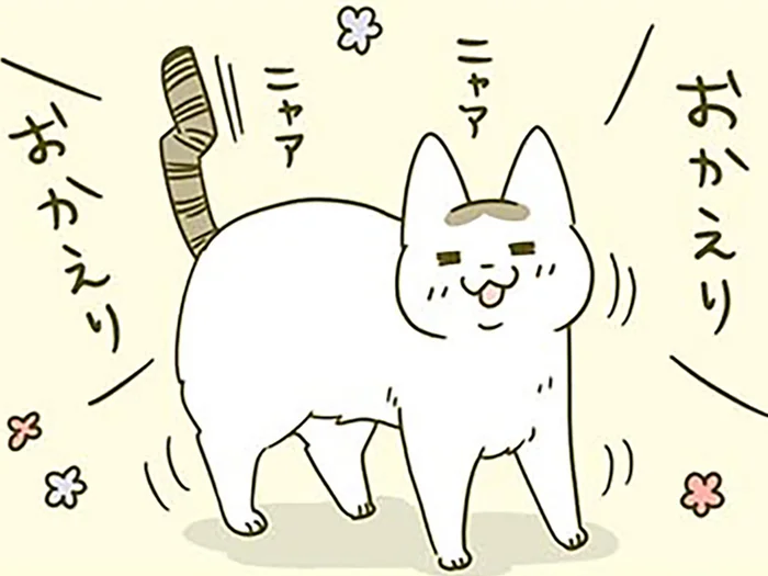 飼い主の帰宅をニコニコで迎えてくれる猫。「ずっとここで待ってたんですよ」って本当？