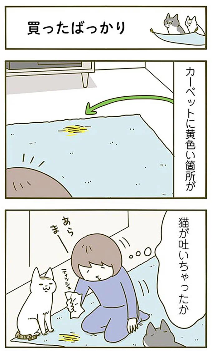 あれっ黄色い箇所が