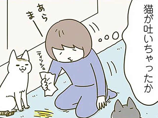 猫が吐いちゃったのかな。買ったばかりのカーペットの異変