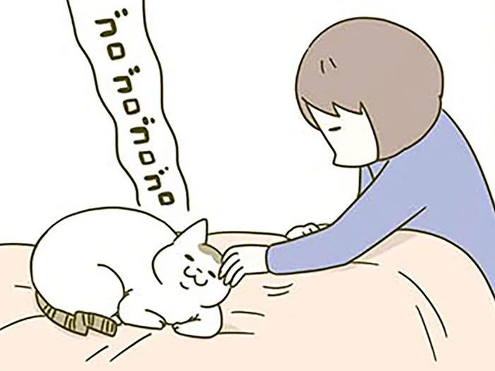 就寝前の癒しのひととき。猫が可愛すぎて無限に撫でてしまう！