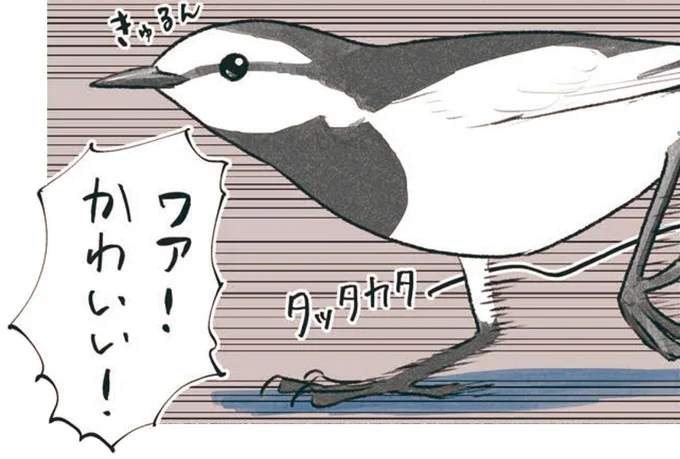 ワァ!かわいい!