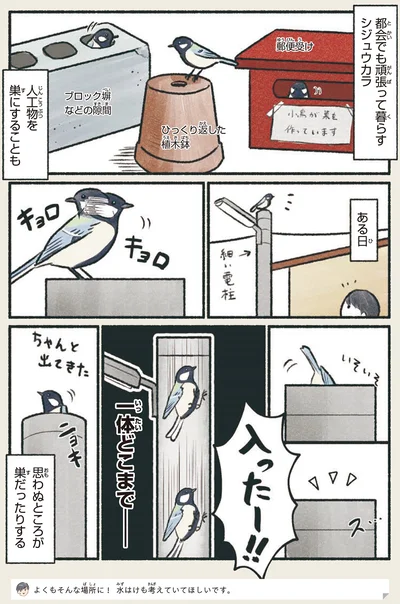思わぬところが巣だったりする