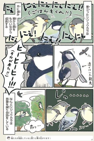 なんとシジュウカラは言葉を操り会話をしている