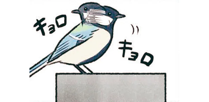 キョロキョロ