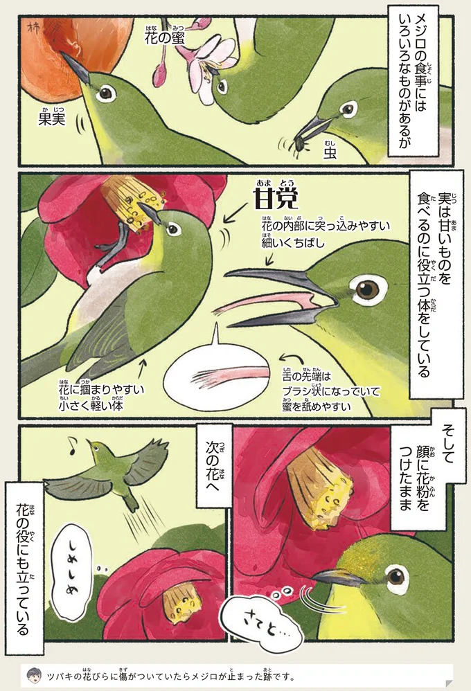 花の役にも立っている