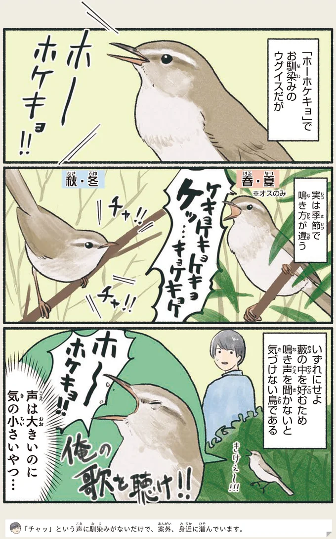 実は季節で鳴き方が違う