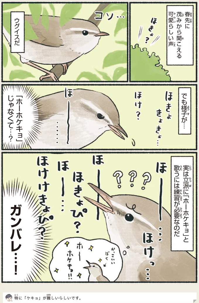 「ホーホケキョ」じゃなくて…?