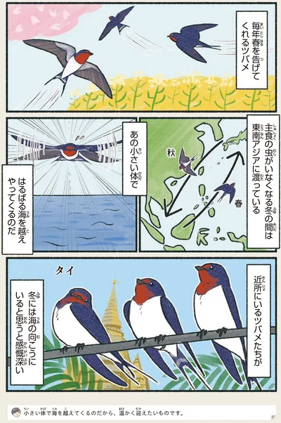 毎年春を告げてくれるツバメ