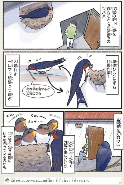 私たちも知らぬ間にヒナを守っているのかも