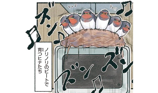 まさかスピーカーの上に！？ツバメの世界の住宅難
