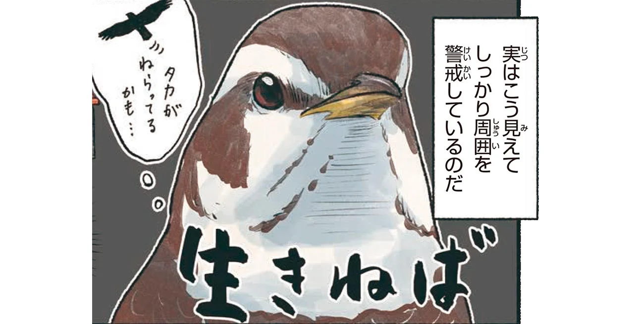 ぼーっとしているように見えるツグミだけど、しっかり警戒中