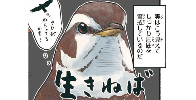 しっかり周囲を警戒しているのだ