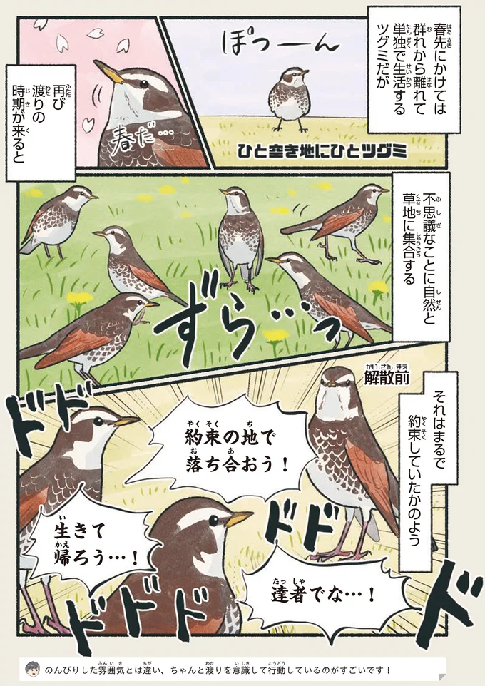 それはまるで約束していたかのよう
