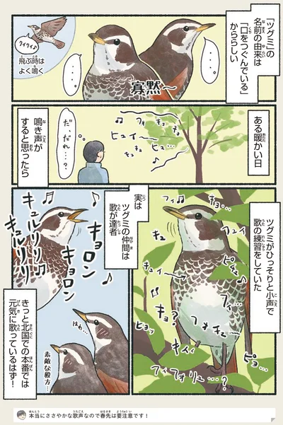 ツグミがひっそりと小声で歌の練習をしていた