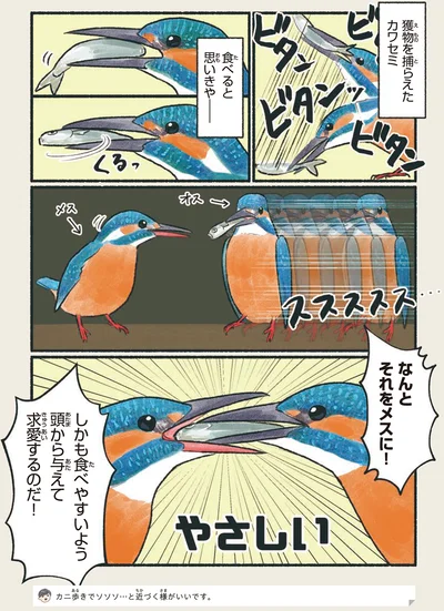 なんとそれをメスに！