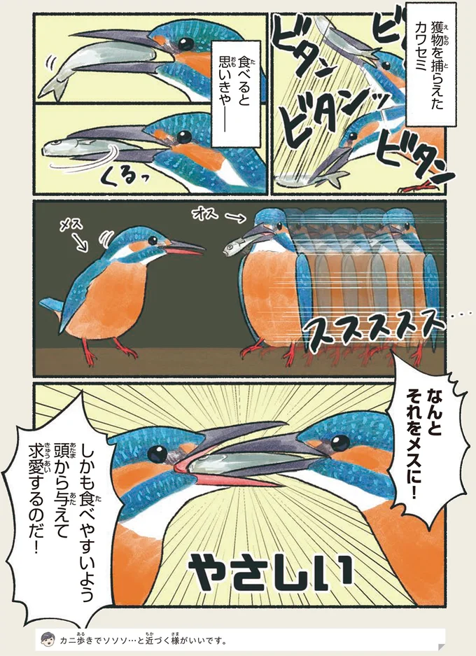 なんとそれをメスに!