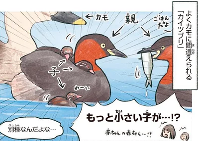 もっと小さい子が…！？