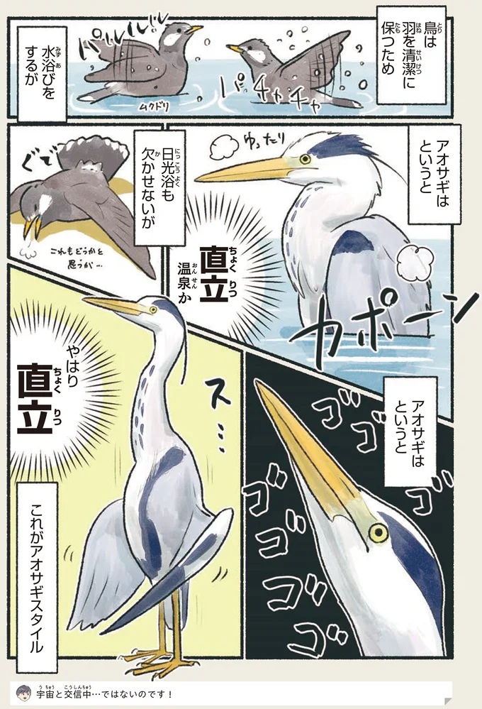 やはり直立