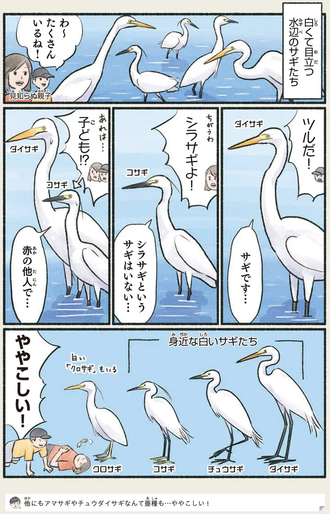 ややこしい!